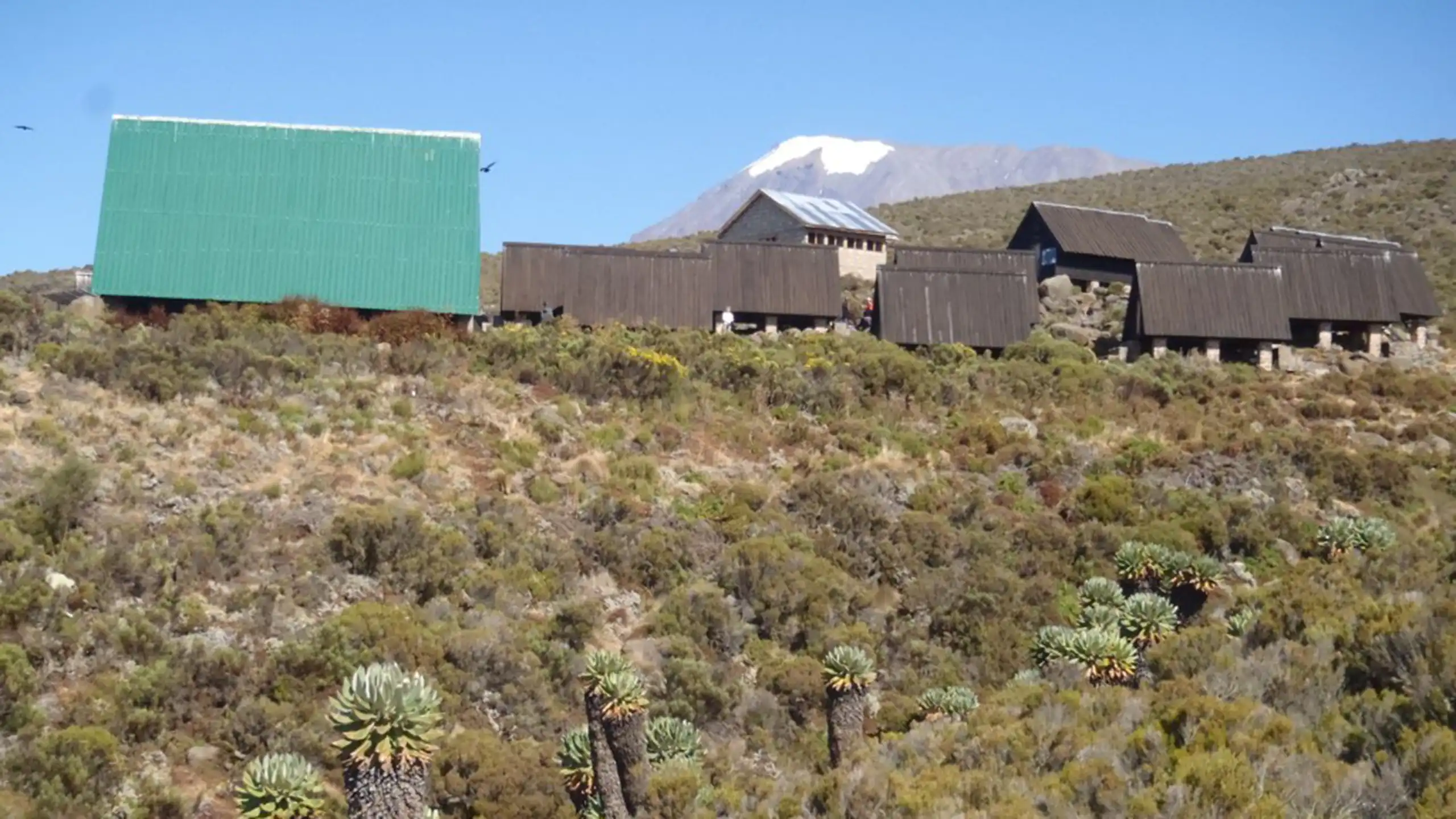 Horombo hut - Kibo hut (15,420ft | 4700m)