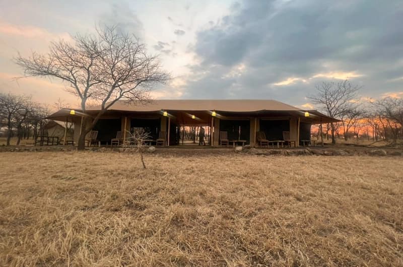 The Canopy Migration Camp