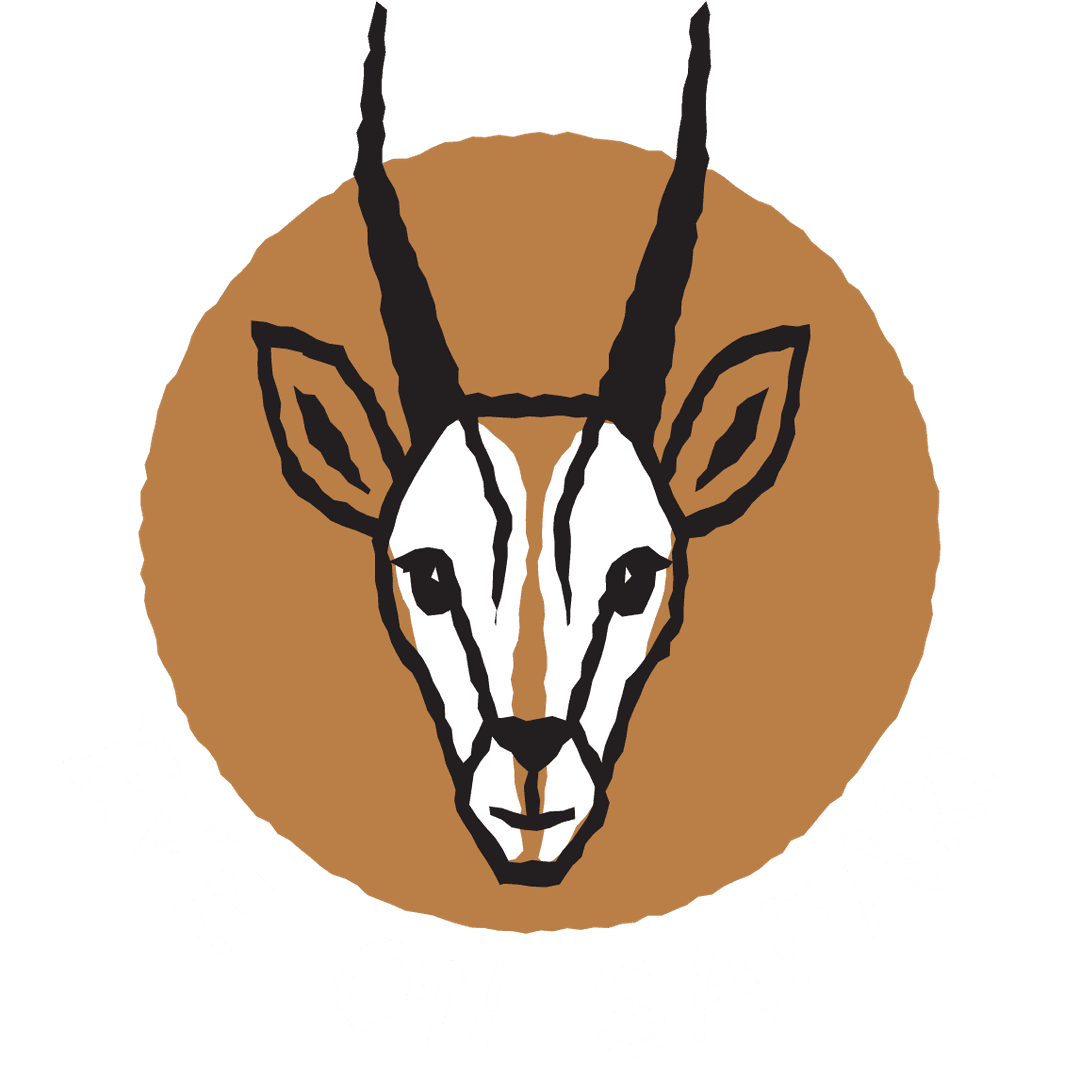 Eve On Safari logo