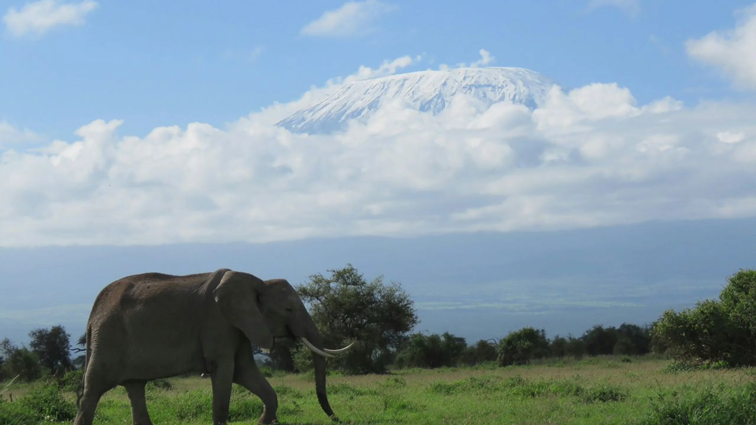 Mount Kilimanjaro photo 3