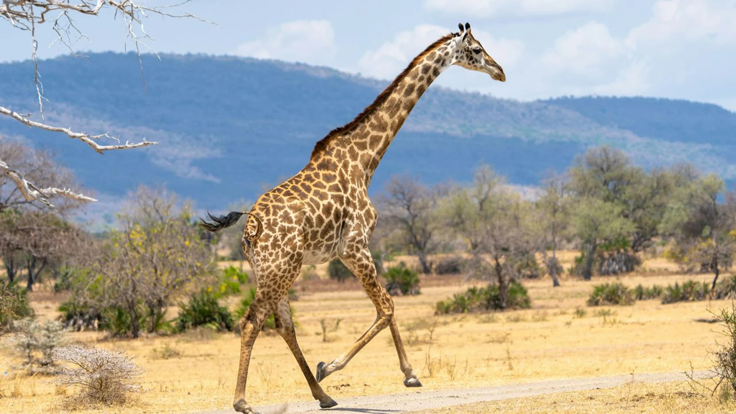 Makuyuni Wildlife Park