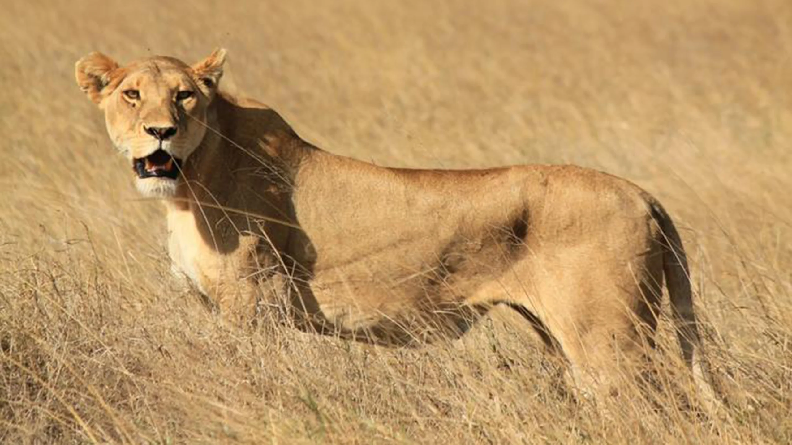 Tarangire National Park photo 3