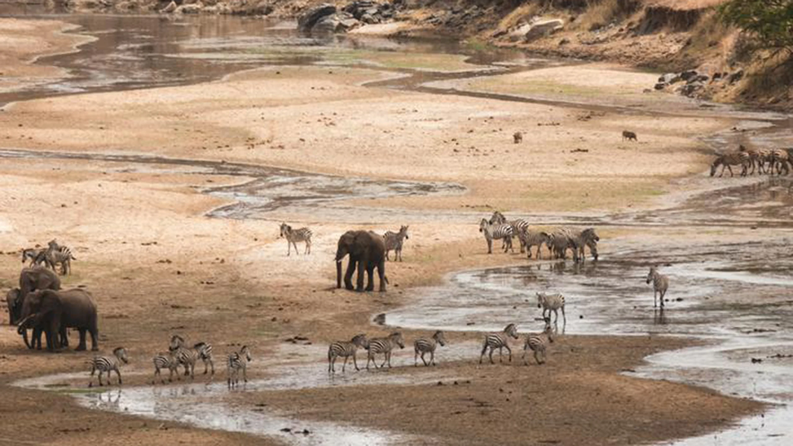 Tarangire National Park