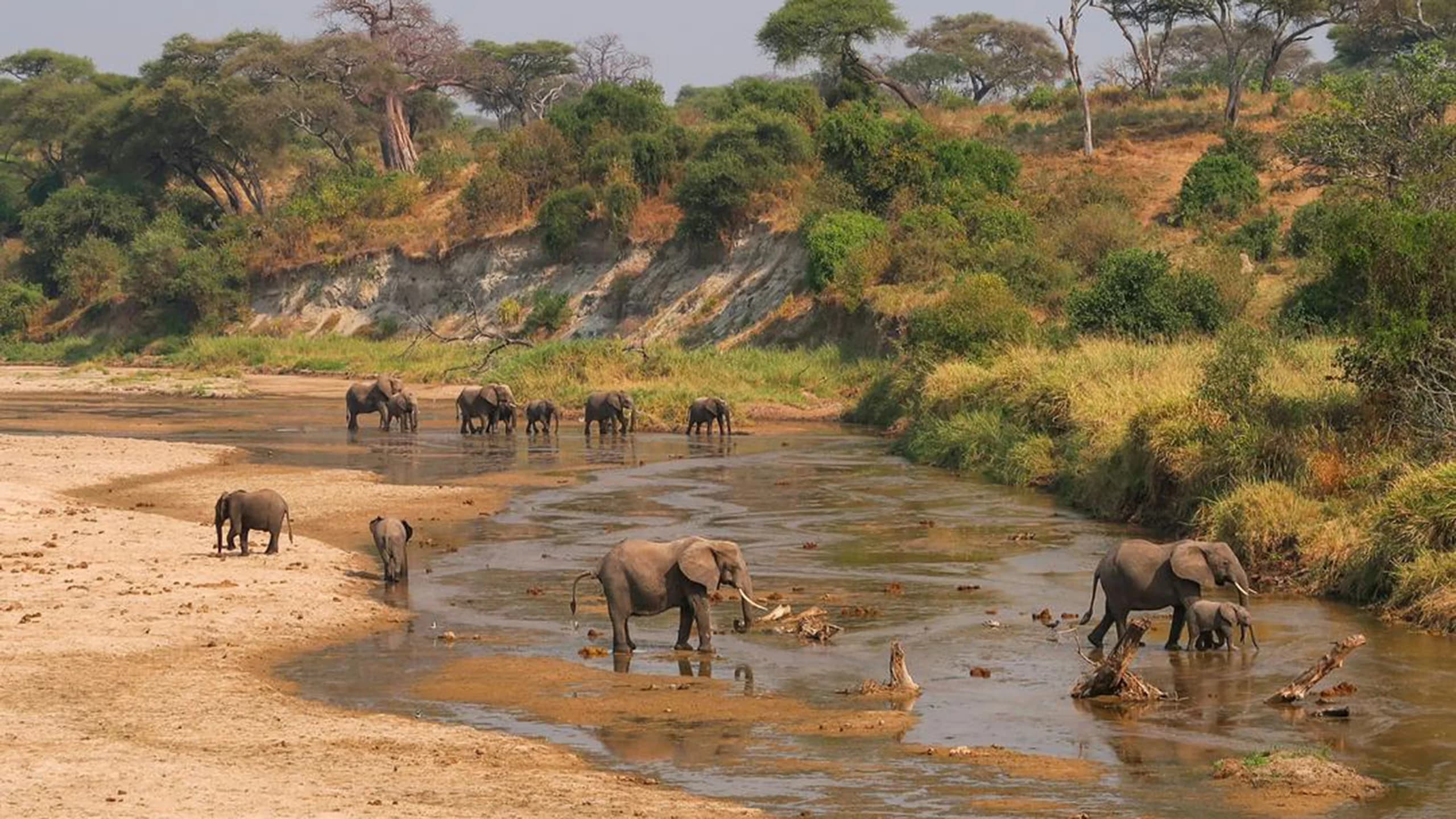 Tarangire National Park photo 2