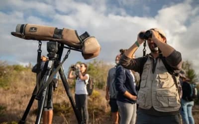 Birding guide spotting birds