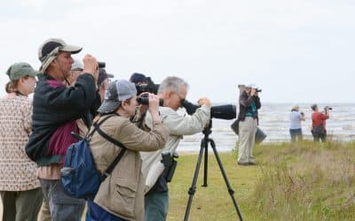 Tanzania bird watching safari