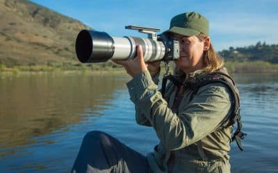 Tanzania photographic safaris