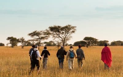 Tanzania walking safaris