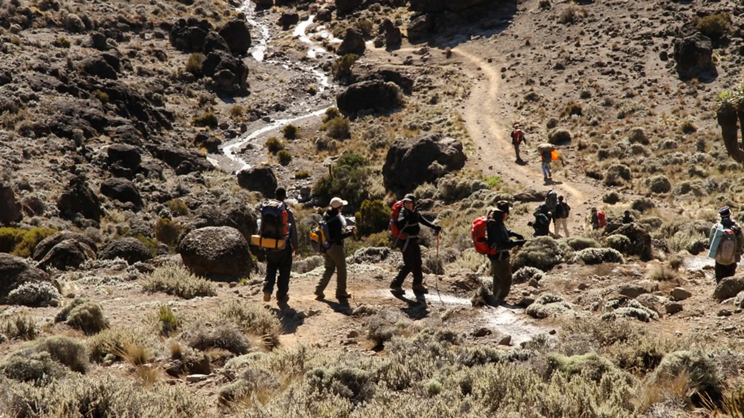Depart Moshi | Kilimanjaro airport