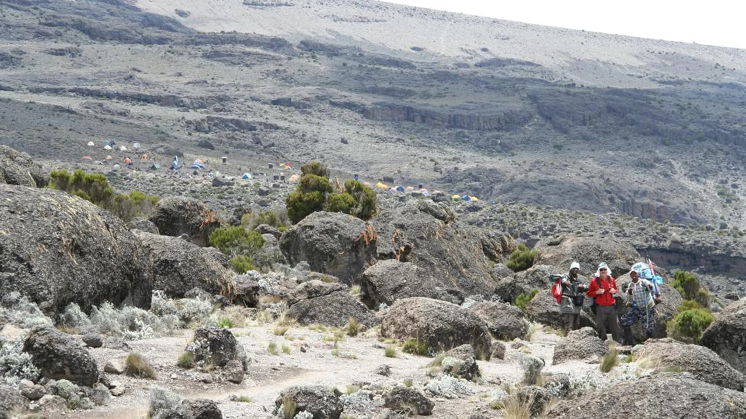 Horombo Hut to Marangu Gate, return to town