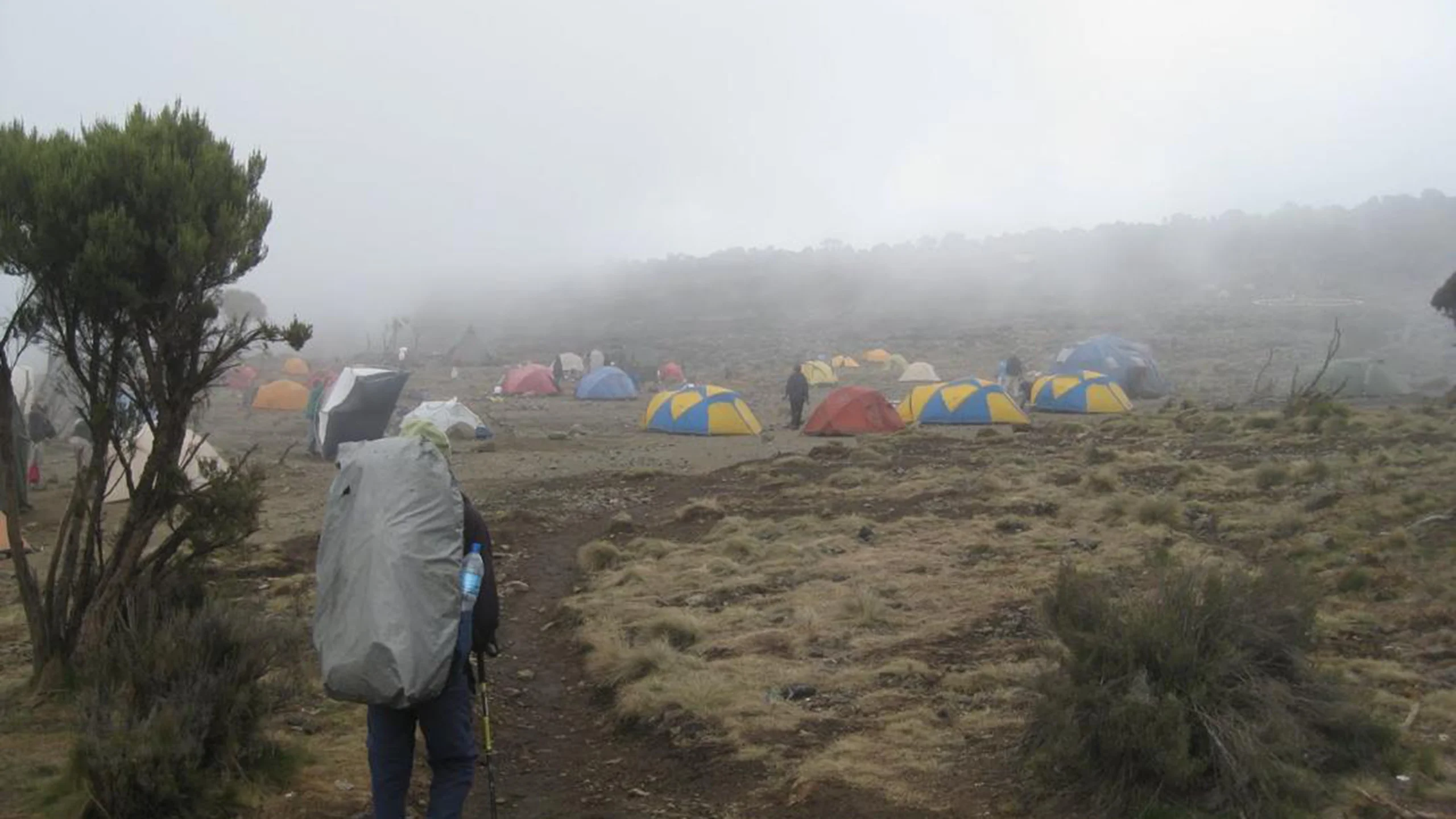 Arrive Kilimanjaro Airport, transfer to Arusha/Moshi