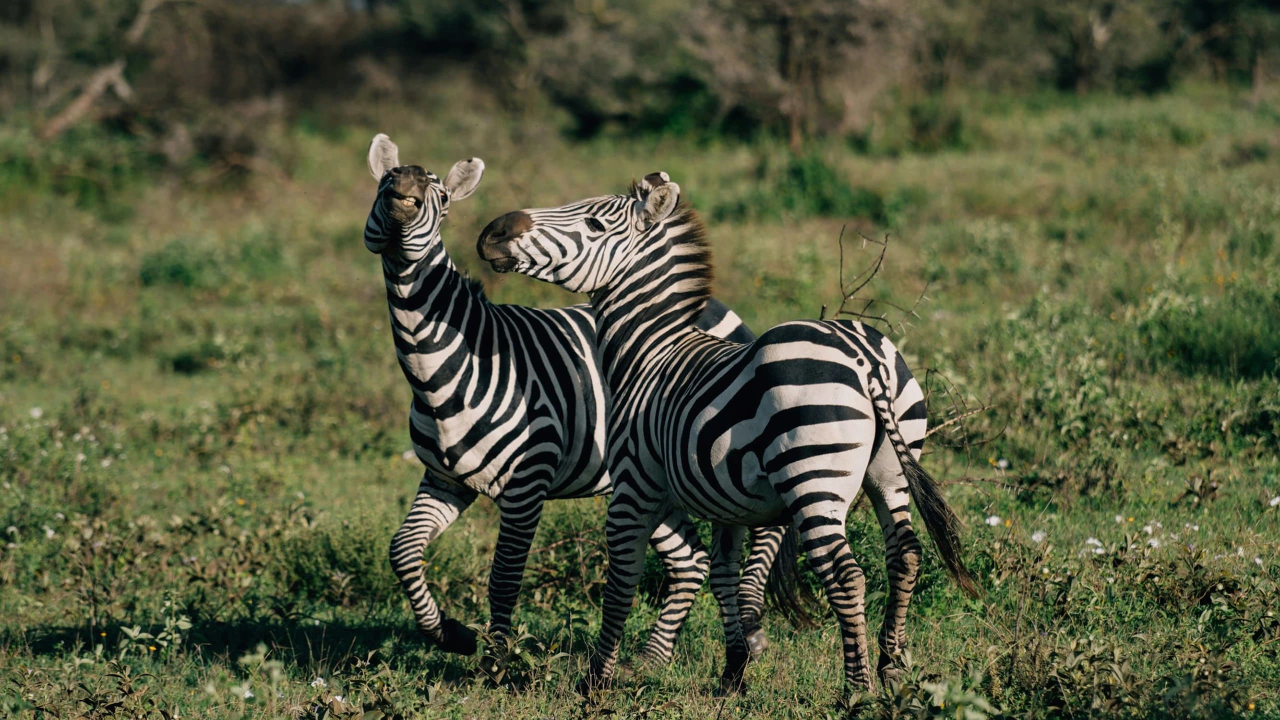 Family-Friendly Tours