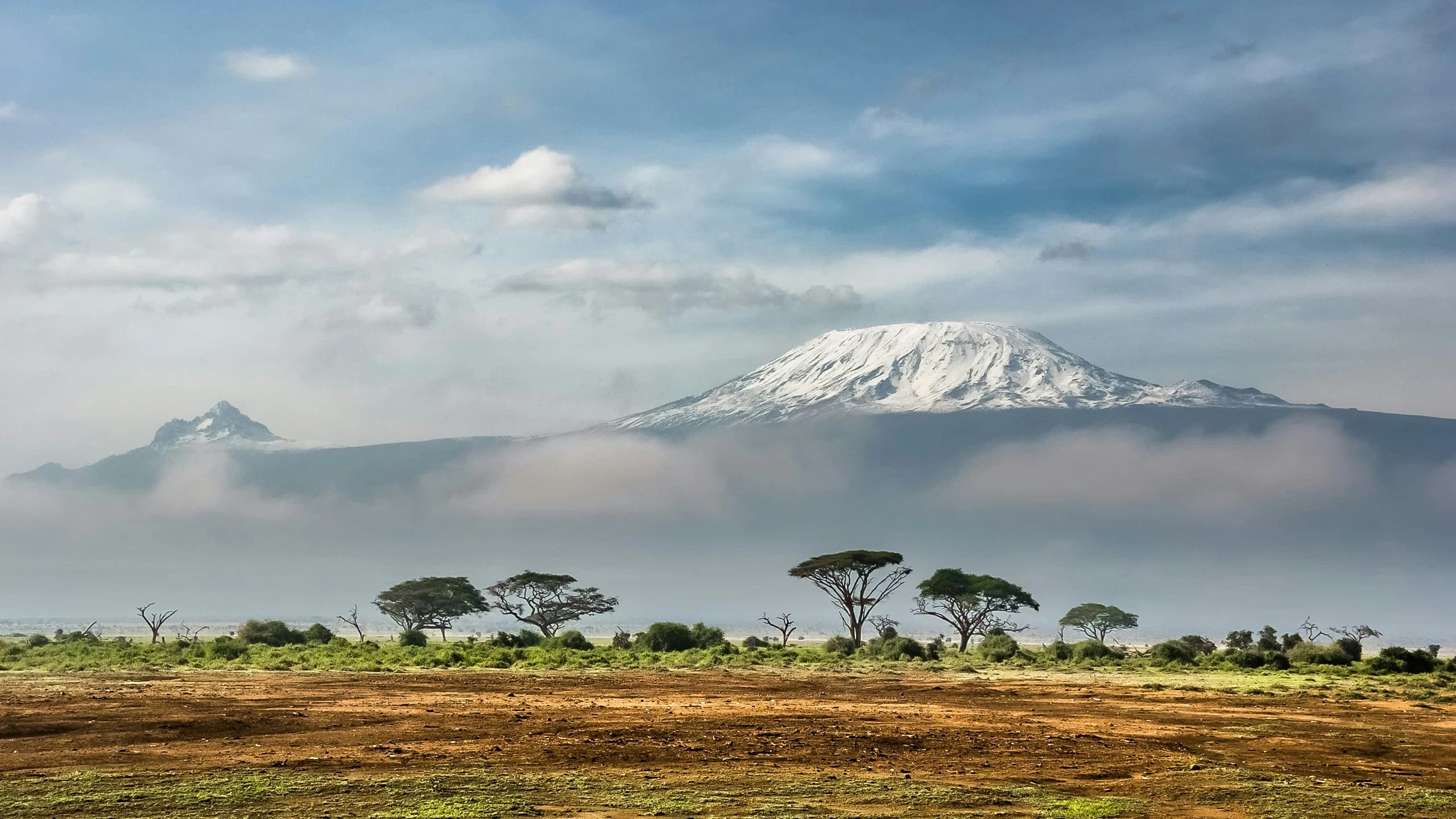 Kilimanjaro