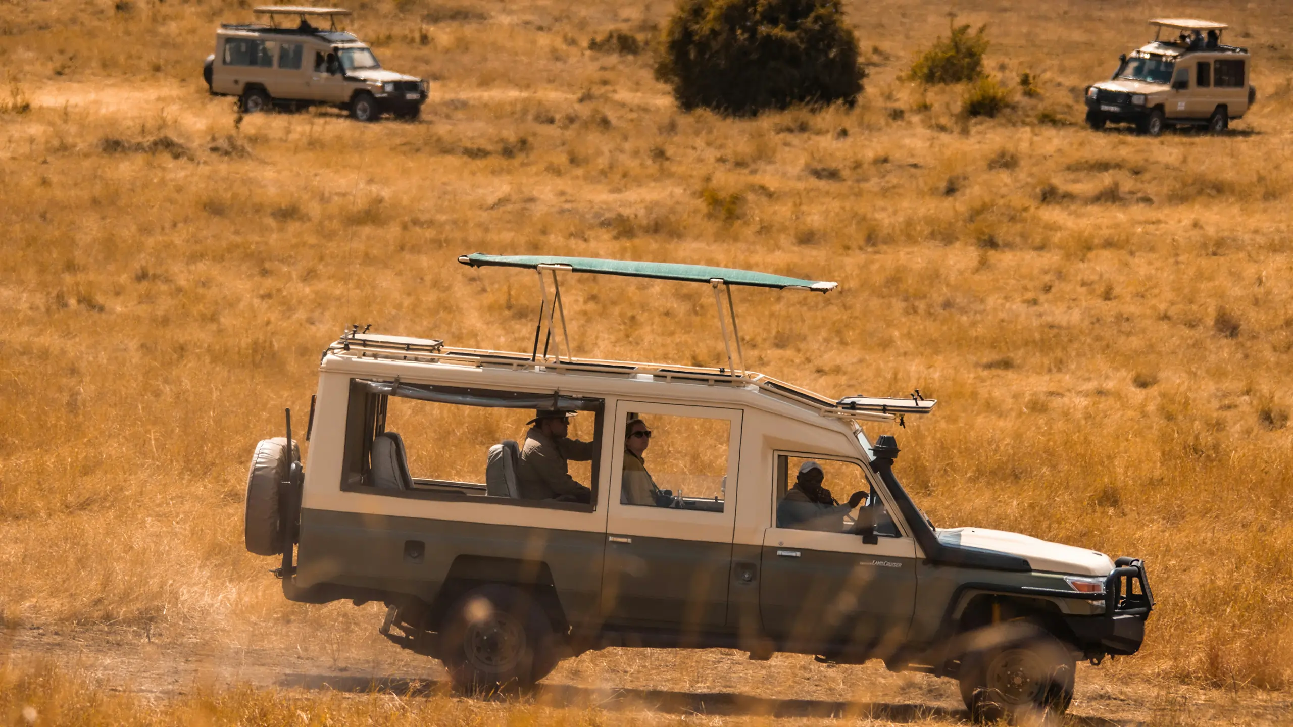 Northern Tanzania safari landscape