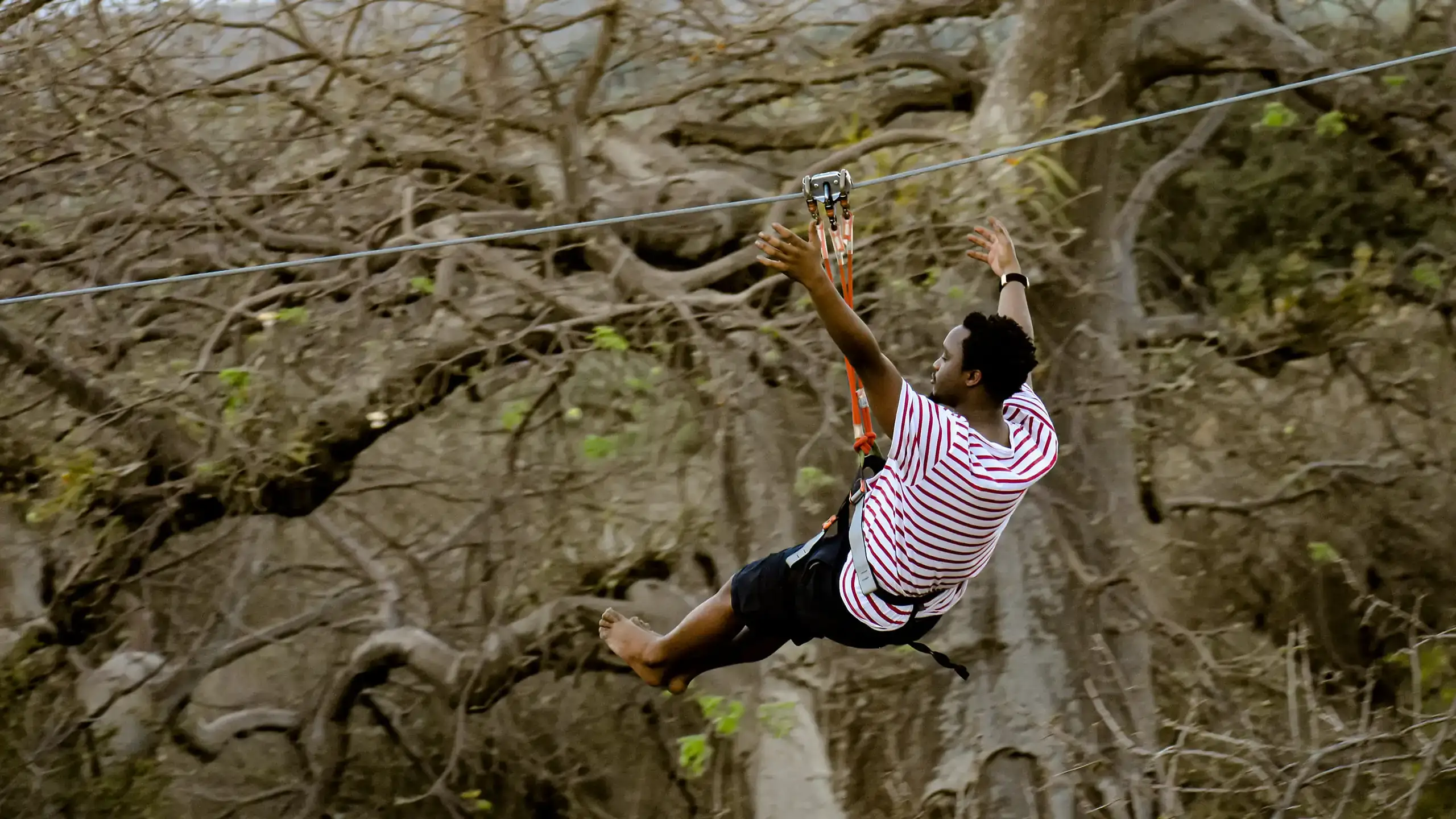 Manyara-Ngorongoro-Tarangire